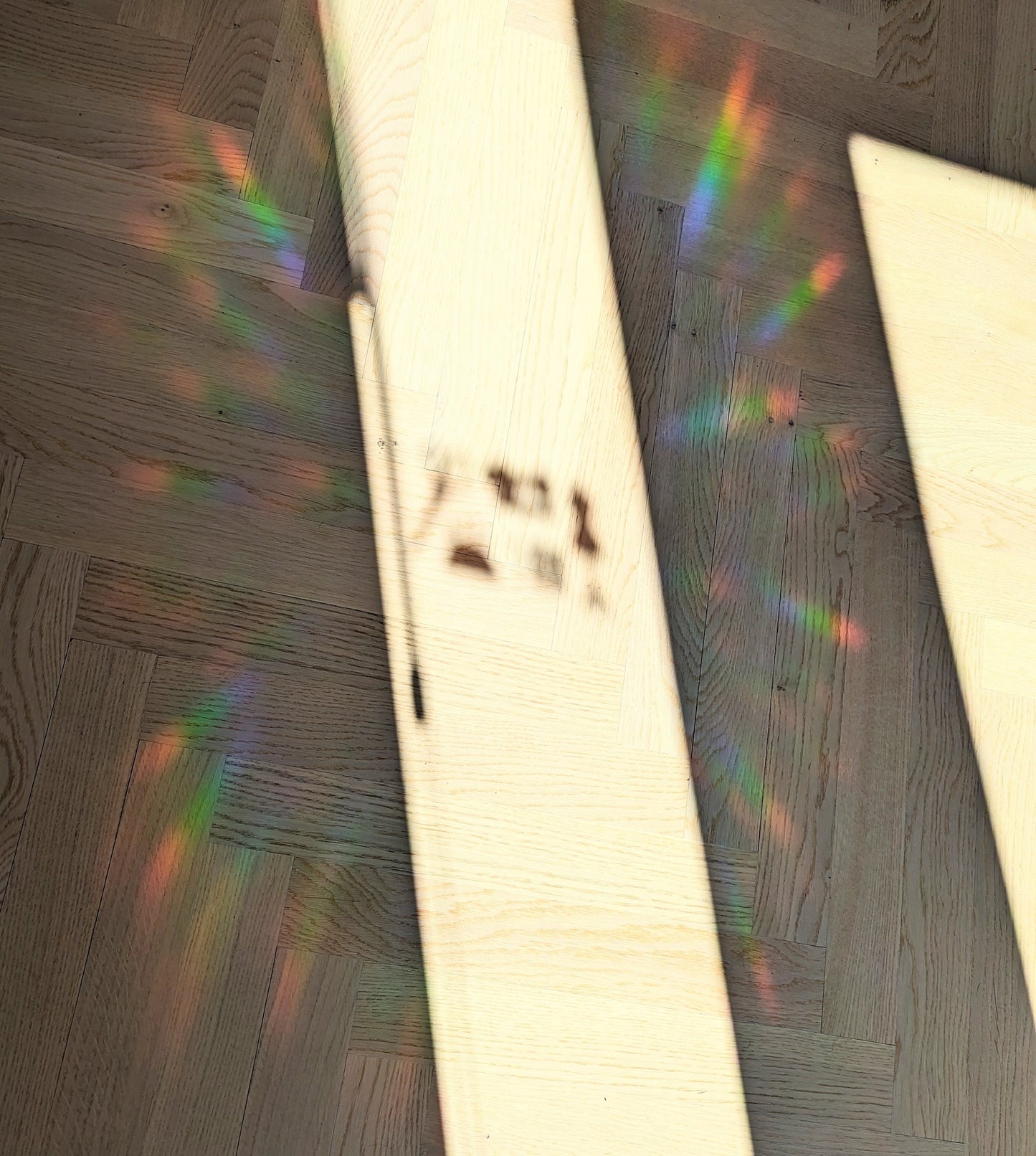 Sewing Room Notions Rainbow Suncatchers: Gift for Lover of Sewing