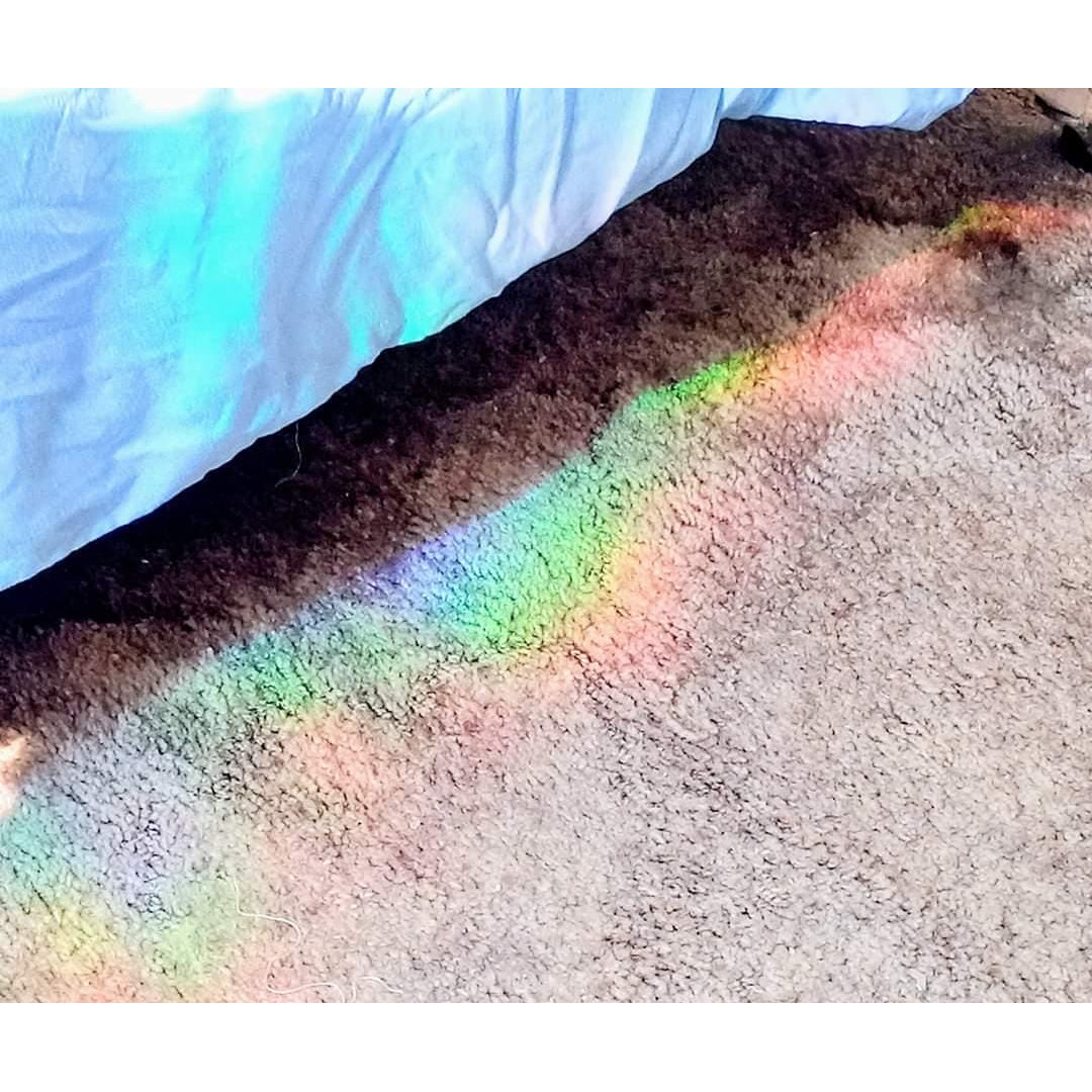 Hedgehog Rainbow Suncatcher