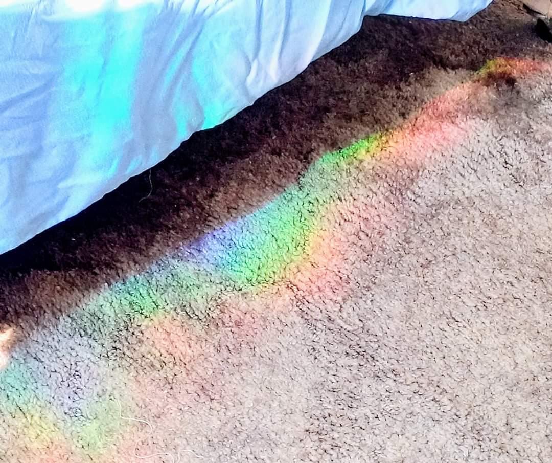 Hedgehog Rainbow Suncatcher