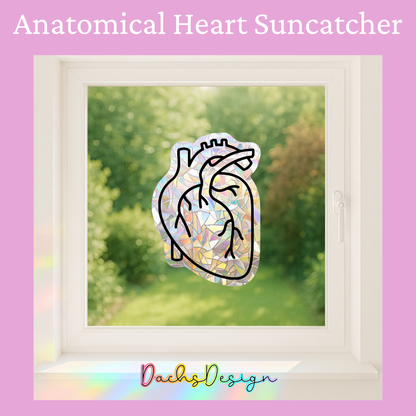 Anatomical Heart Rainbow Suncatcher