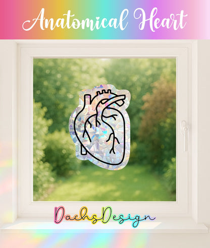 Anatomical Heart Rainbow Suncatcher: Handmade Window Sticker