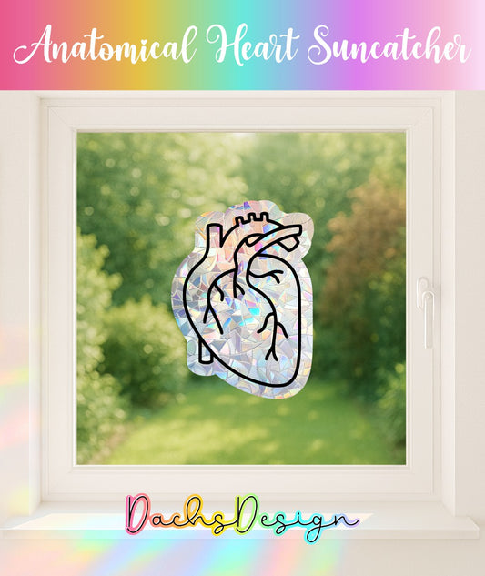 Anatomical Heart Rainbow Suncatcher: Handmade Window Sticker