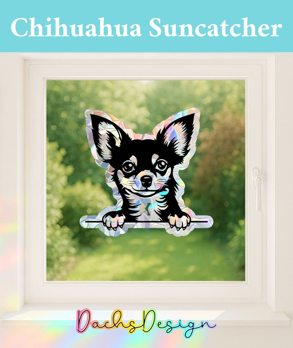 Chihuahua regnbue solfanger