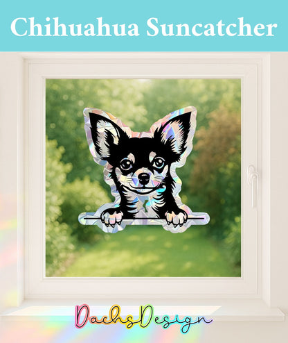 Chihuahua regnbue solfanger