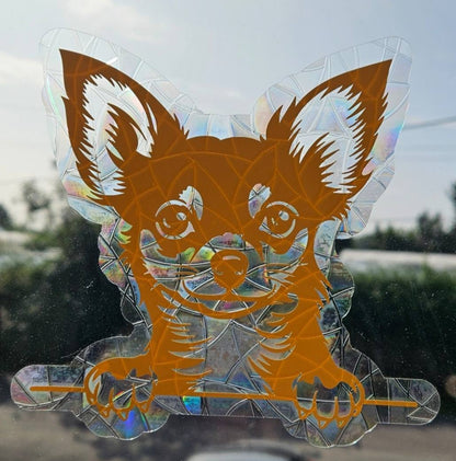 Chihuahua regnbue solfanger