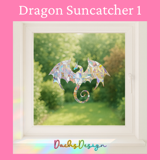 Drage Regnbue Solfangerpakke