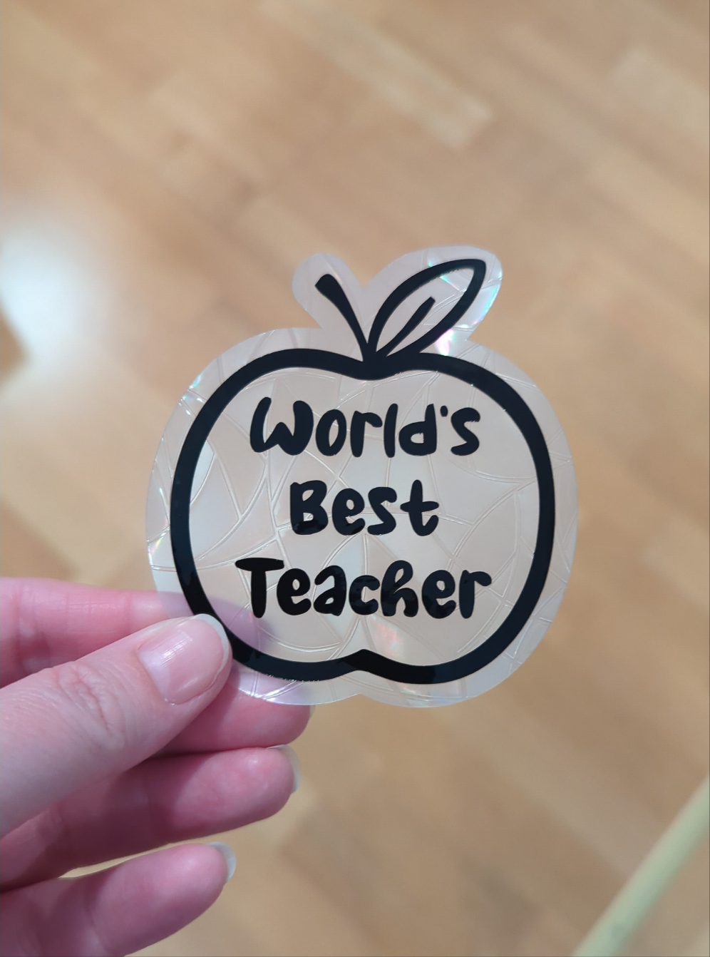 Teacher Gift Rainbow Suncatchers