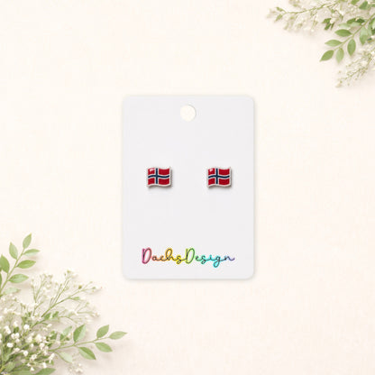 Norwegian Flag Small Stud Earrings