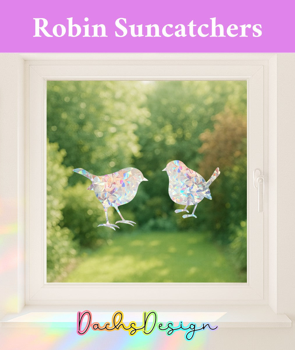 Robin Regnbue-solfangere