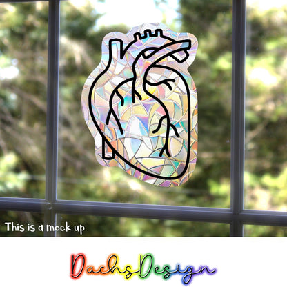 Anatomical Heart Rainbow Suncatcher: Handmade Window Sticker