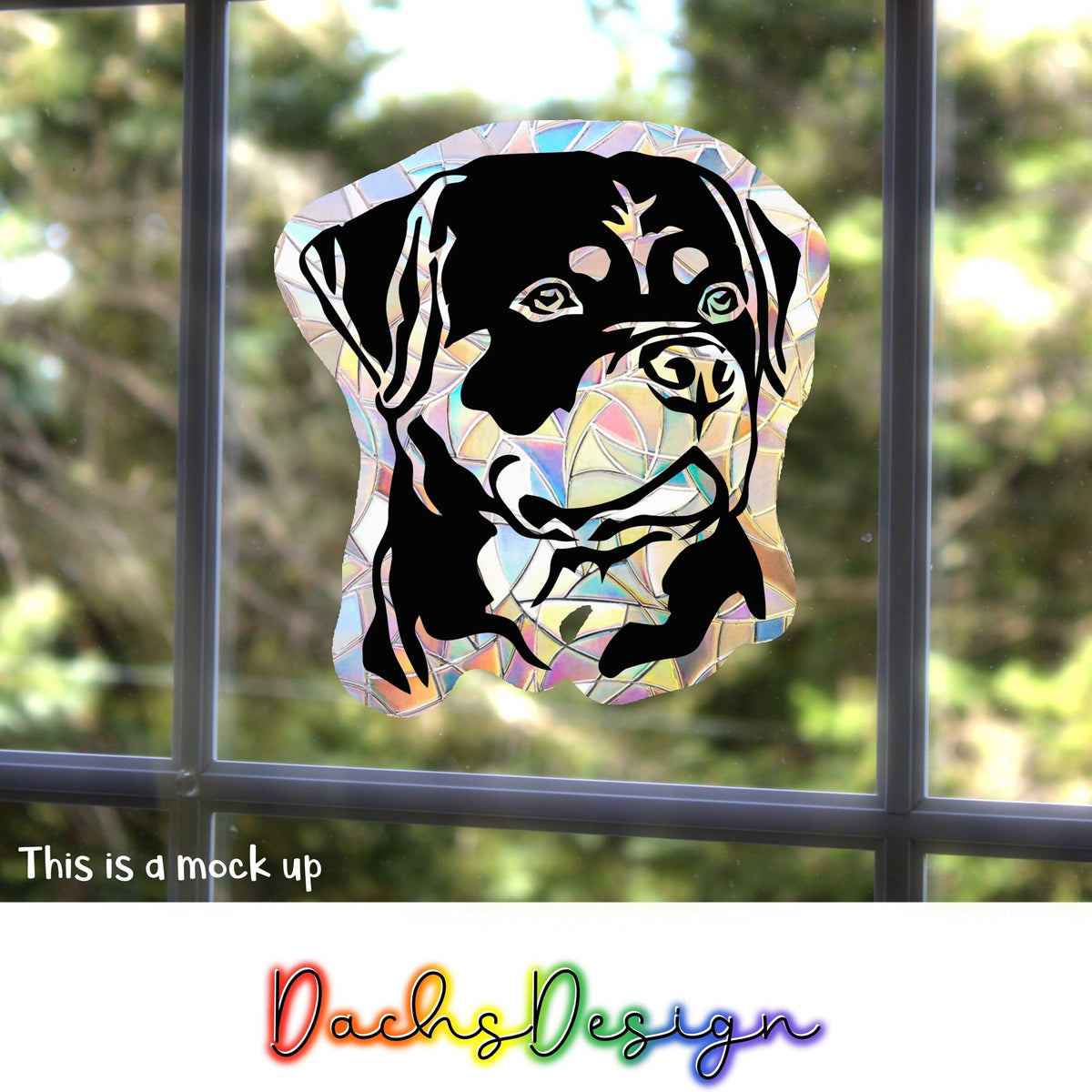 Rottweiler regnbue solfanger