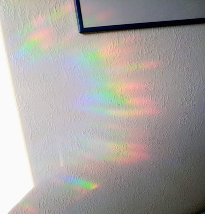 Floral Cat Suncatcher: Rainbow Window Decal, Gift for Cat Lover