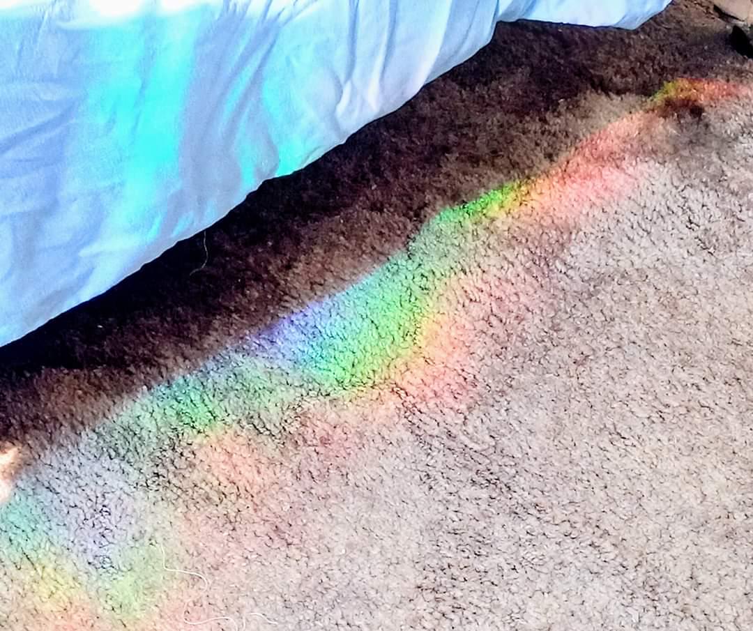 Floral Cat Suncatcher: Rainbow Window Decal, Gift for Cat Lover