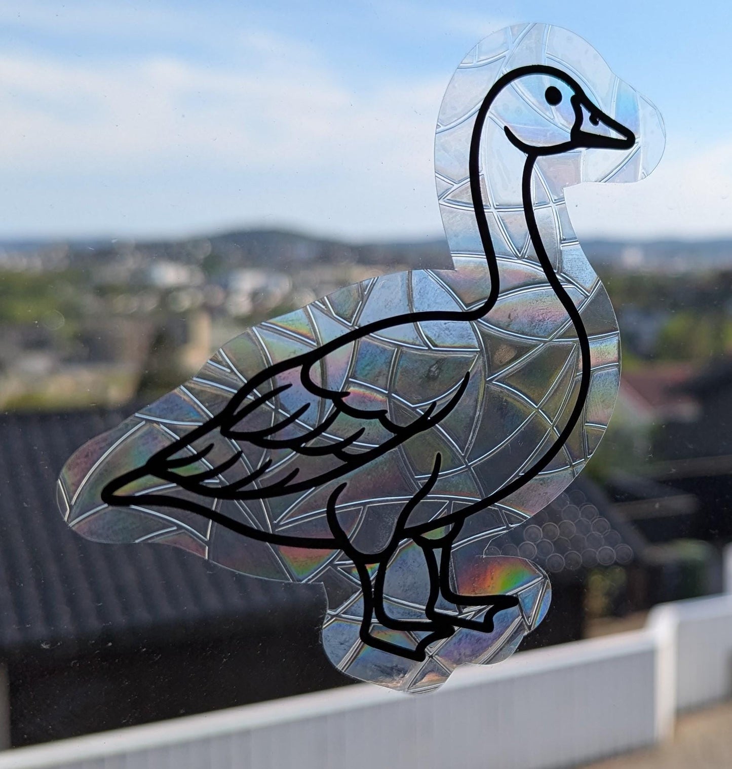 Gås regnbue-solfanger
