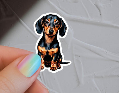 Vanntett vinylklistremerke – sort og tan dachshund