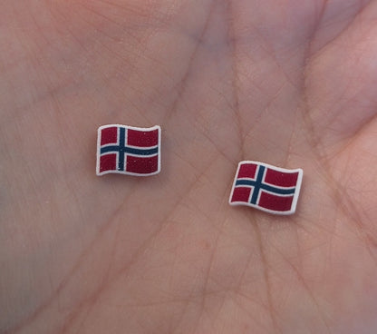 Norwegian Flag Small Stud Earrings