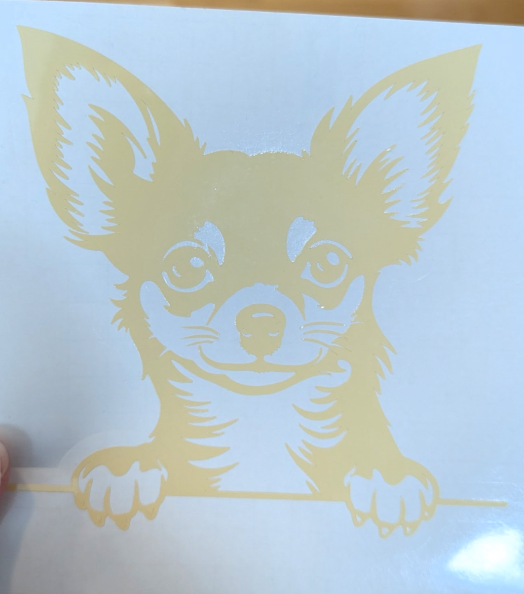 Chihuahua regnbue solfanger