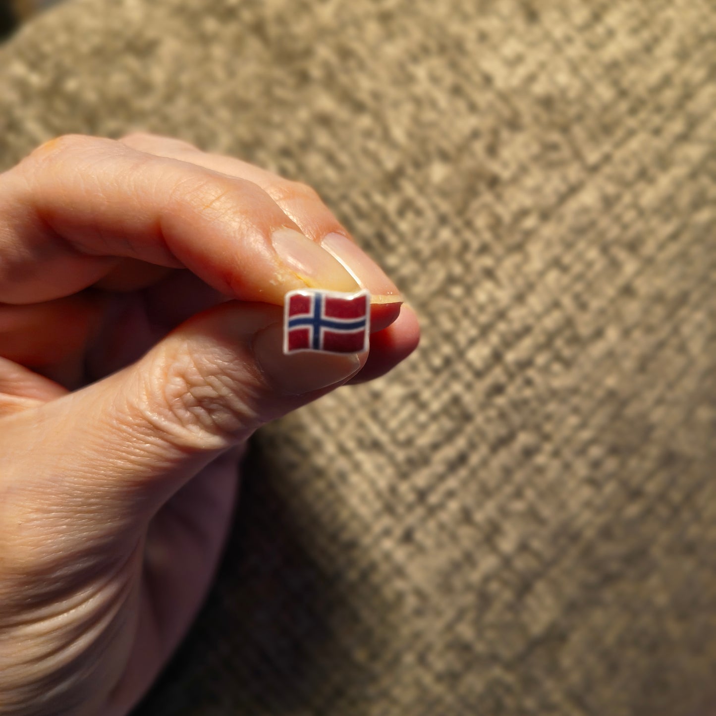 Norwegian Flag Small Stud Earrings
